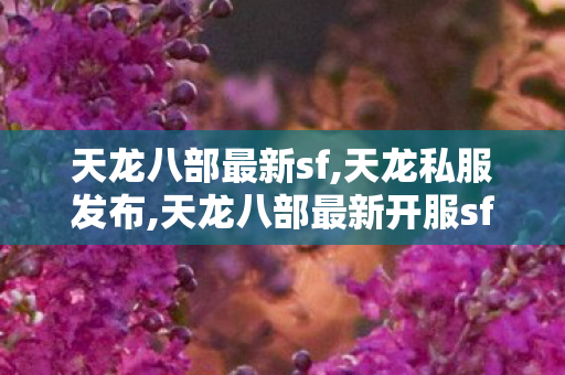 天龙八部最新sf,天龙私服发布,天龙八部最新开服sf变态,天龙私服发布