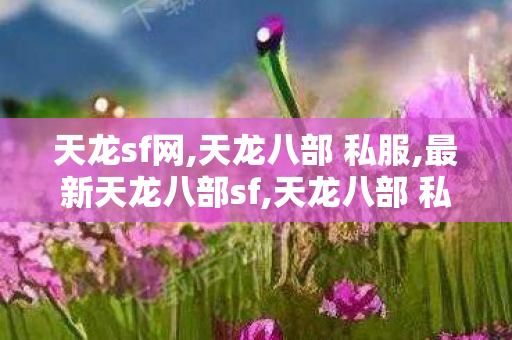 天龙sf网,天龙八部 私服,最新天龙八部sf,天龙八部 私服
