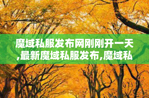 魔域私服发布网刚刚开一天,最新魔域私服发布,魔域私服网,最新魔域私服发布