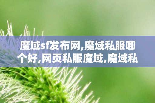 魔域sf发布网,魔域私服哪个好,网页私服魔域,魔域私服哪个好