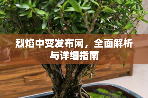 烈焰中变发布网，全面解析与详细指南