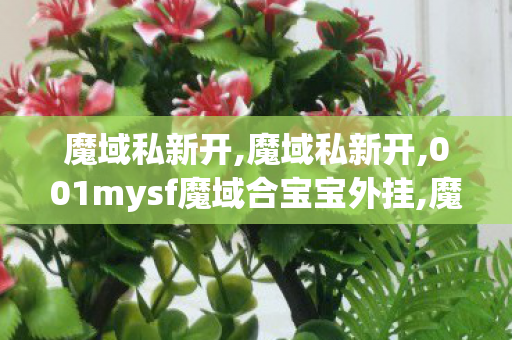 魔域私新开,魔域私新开,001mysf魔域合宝宝外挂,魔域私新开