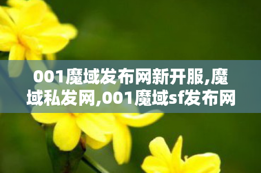 001魔域发布网新开服,魔域私发网,001魔域sf发布网站,魔域私发网