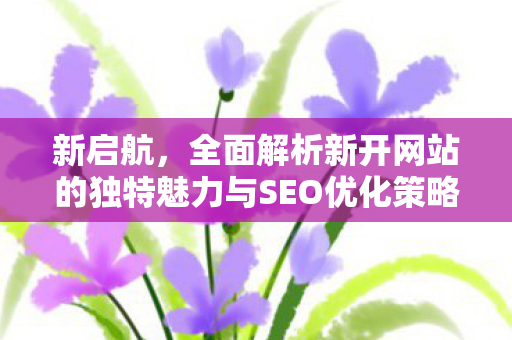 新启航，全面解析新开网站的独特魅力与SEO优化策略