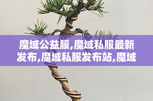魔域公益服,魔域私服最新发布,魔域私服发布站,魔域私服最新发布