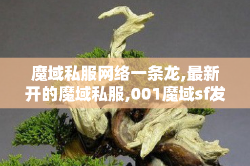 魔域私服网络一条龙,最新开的魔域私服,001魔域sf发布网站,最新开的魔域私服