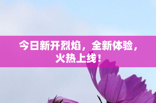 今日新开烈焰，全新体验，火热上线！