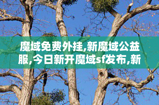魔域免费外挂,新魔域公益服,今日新开魔域sf发布,新魔域公益服