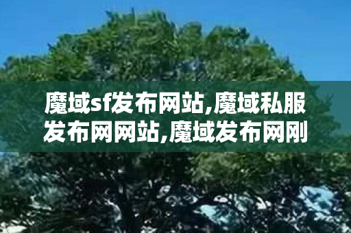魔域sf发布网站,魔域私服发布网网站,魔域发布网刚开一秒,魔域私服发布网网站