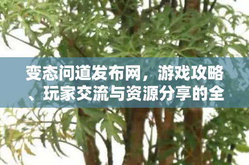 变态问道发布网，游戏攻略、玩家交流与资源分享的全方位平台
