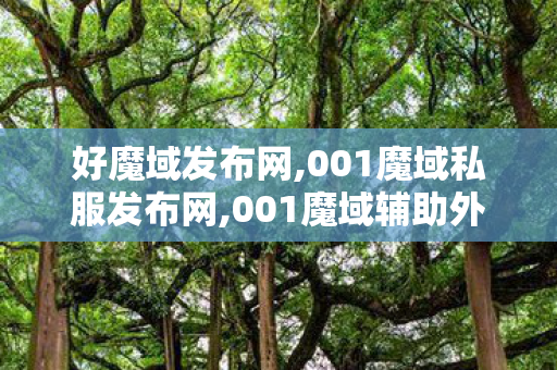 好魔域发布网,001魔域私服发布网,001魔域辅助外挂,001魔域私服发布网