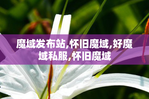 魔域发布站,怀旧魔域,好魔域私服,怀旧魔域