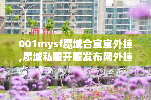 001mysf魔域合宝宝外挂,魔域私服开服发布网外挂,最新开魔域私服,魔域私服开服发布网外挂