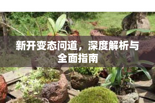新开变态问道，深度解析与全面指南
