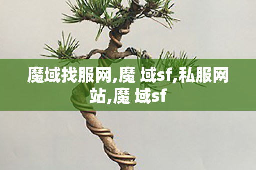 魔域找服网,魔 域sf,私服网站,魔 域sf
