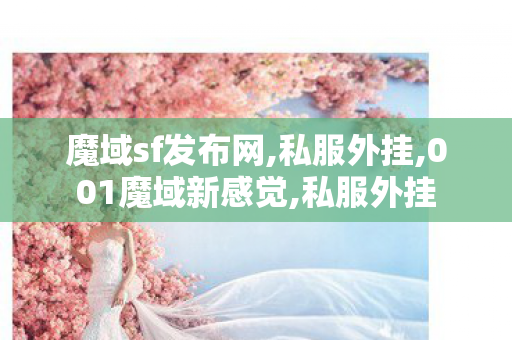 魔域sf发布网,私服外挂,001魔域新感觉,私服外挂