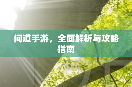 问道手游，全面解析与攻略指南