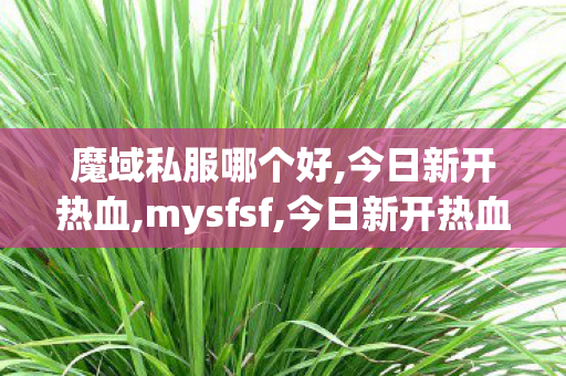 魔域私服哪个好,今日新开热血,mysfsf,今日新开热血