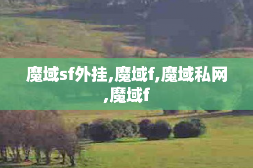 魔域sf外挂,魔域f,魔域私网,魔域f
