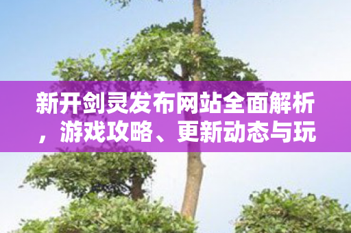 新开剑灵发布网站全面解析，游戏攻略、更新动态与玩家指南