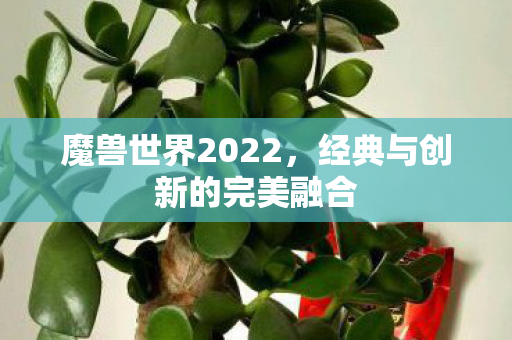 魔兽世界2022，经典与创新的完美融合