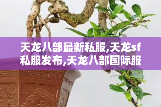 天龙八部最新私服,天龙sf私服发布,天龙八部国际服私服,天龙sf私服发布