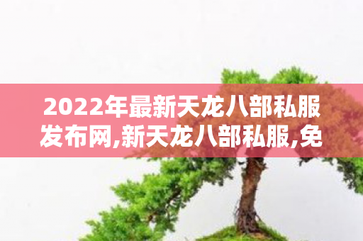 2022年最新天龙八部私服发布网,新天龙八部私服,免费天龙八部sf发布网,新天龙八部私服