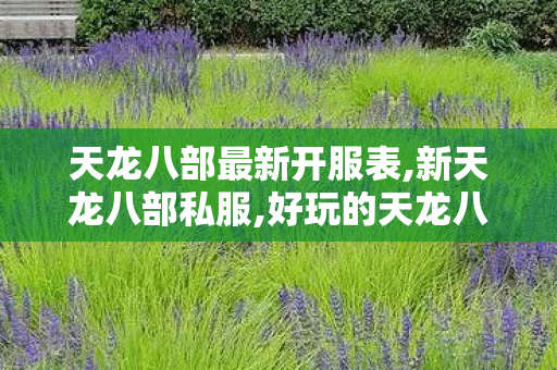 天龙八部最新开服表,新天龙八部私服,好玩的天龙八部私服,新天龙八部私服