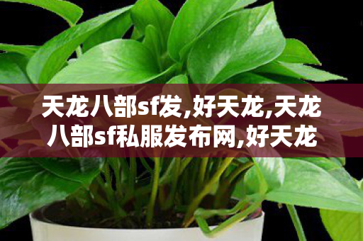天龙八部sf发,好天龙,天龙八部sf私服发布网,好天龙