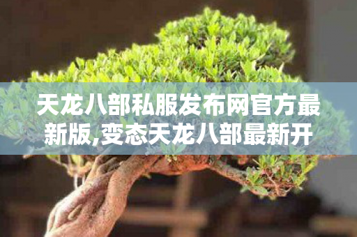 天龙八部私服发布网官方最新版,变态天龙八部最新开服表,超变天龙八部私服,变态天龙八部最新开服表