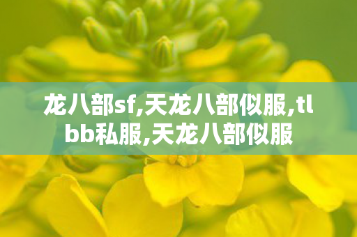 龙八部sf,天龙八部似服,tlbb私服,天龙八部似服