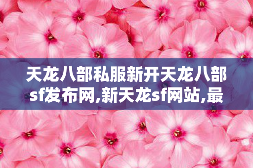 天龙八部私服新开天龙八部sf发布网,新天龙sf网站,最新天龙八部sf,新天龙sf网站