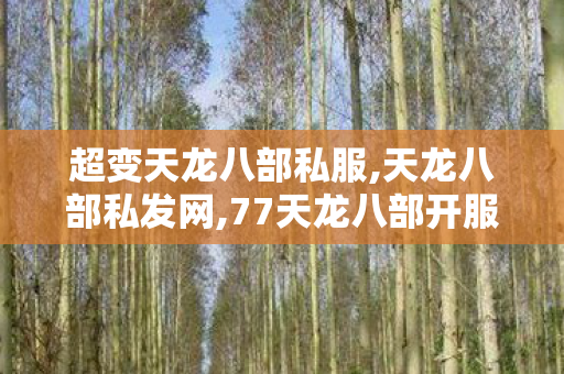 超变天龙八部私服,天龙八部私发网,77天龙八部开服sf,天龙八部私发网