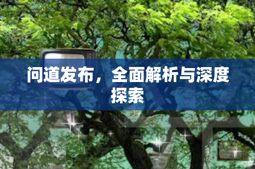 问道发布，全面解析与深度探索