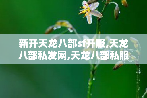 新开天龙八部sf开服,天龙八部私发网,天龙八部私服发布网长久的,天龙八部私发网