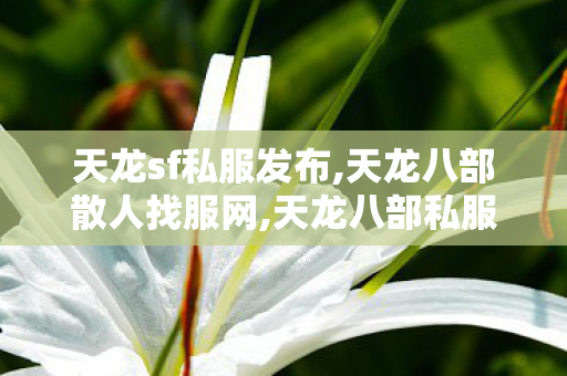 天龙sf私服发布,天龙八部散人找服网,天龙八部私服发布,天龙八部散人找服网