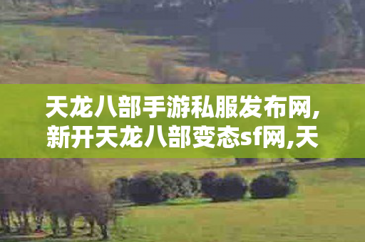 天龙八部手游私服发布网,新开天龙八部变态sf网,天龙怀旧sf,新开天龙八部变态sf网