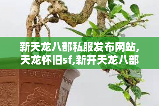 新天龙八部私服发布网站,天龙怀旧sf,新开天龙八部sf开服表,天龙怀旧sf