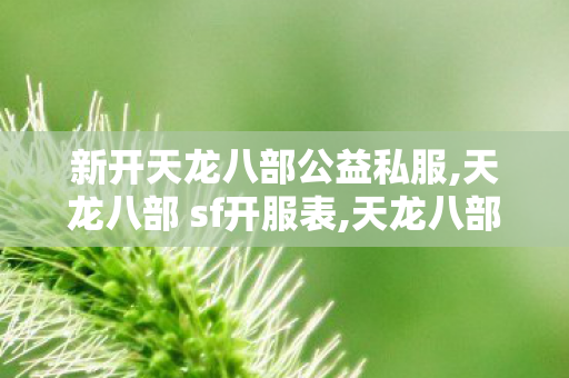 新开天龙八部公益私服,天龙八部 sf开服表,天龙八部sf,天龙八部 sf开服表