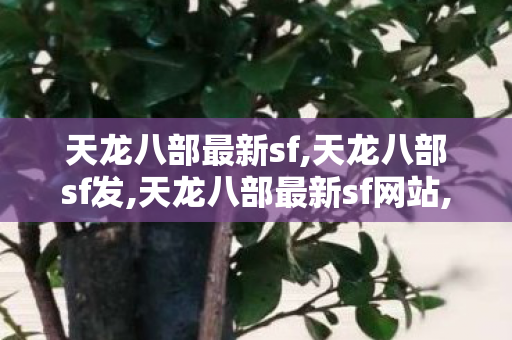 天龙八部最新sf,天龙八部sf发,天龙八部最新sf网站,天龙八部sf发