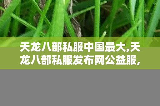 天龙八部私服中国最大,天龙八部私服发布网公益服,私服天龙八部网站,天龙八部私服发布网公益服
