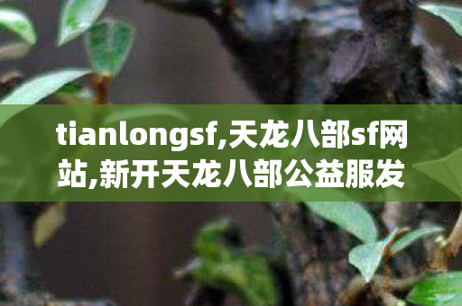 tianlongsf,天龙八部sf网站,新开天龙八部公益服发布网,天龙八部sf网站