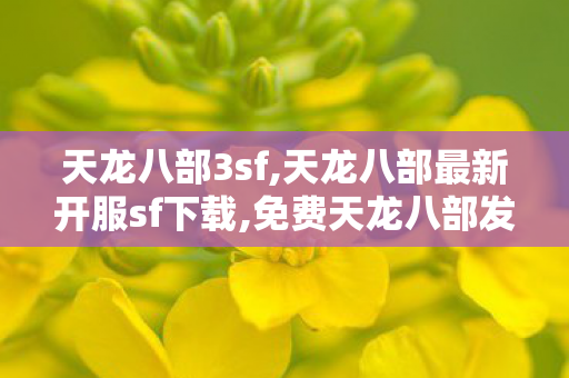 天龙八部3sf,天龙八部最新开服sf下载,免费天龙八部发布网,天龙八部最新开服sf下载