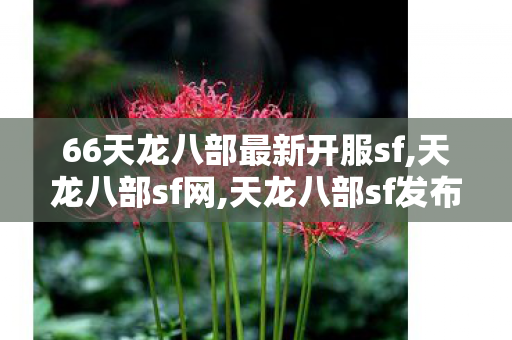 66天龙八部最新开服sf,天龙八部sf网,天龙八部sf发布网站,天龙八部sf网