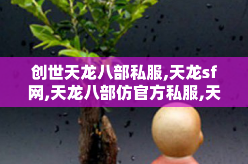 创世天龙八部私服,天龙sf网,天龙八部仿官方私服,天龙sf网