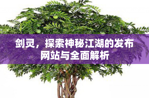 剑灵，探索神秘江湖的发布网站与全面解析