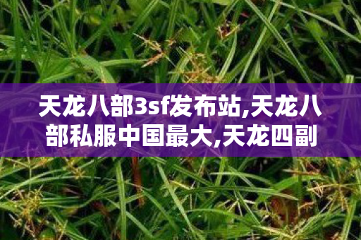 天龙八部3sf发布站,天龙八部私服中国最大,天龙四副,天龙八部私服中国最大