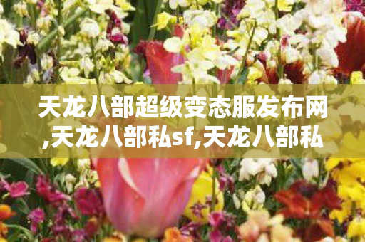 天龙八部超级变态服发布网,天龙八部私sf,天龙八部私服66发布网,天龙八部私sf