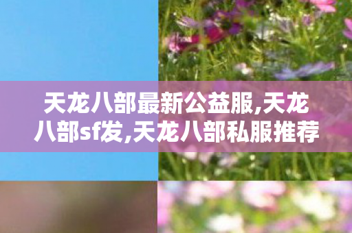 天龙八部最新公益服,天龙八部sf发,天龙八部私服推荐,天龙八部sf发