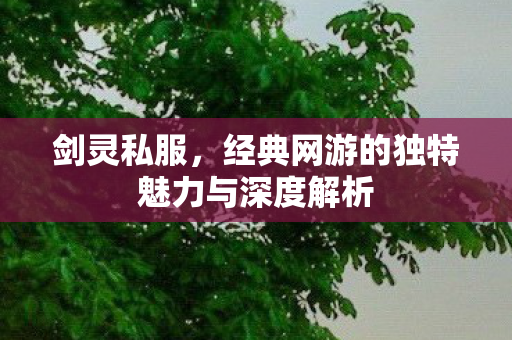 剑灵私服，经典网游的独特魅力与深度解析
